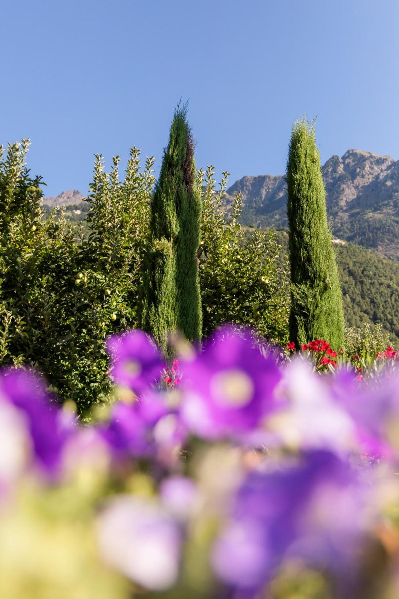 Ferienwohnungen St Hippolyt Mit Hallenbad ลากุนโด ภายนอก รูปภาพ