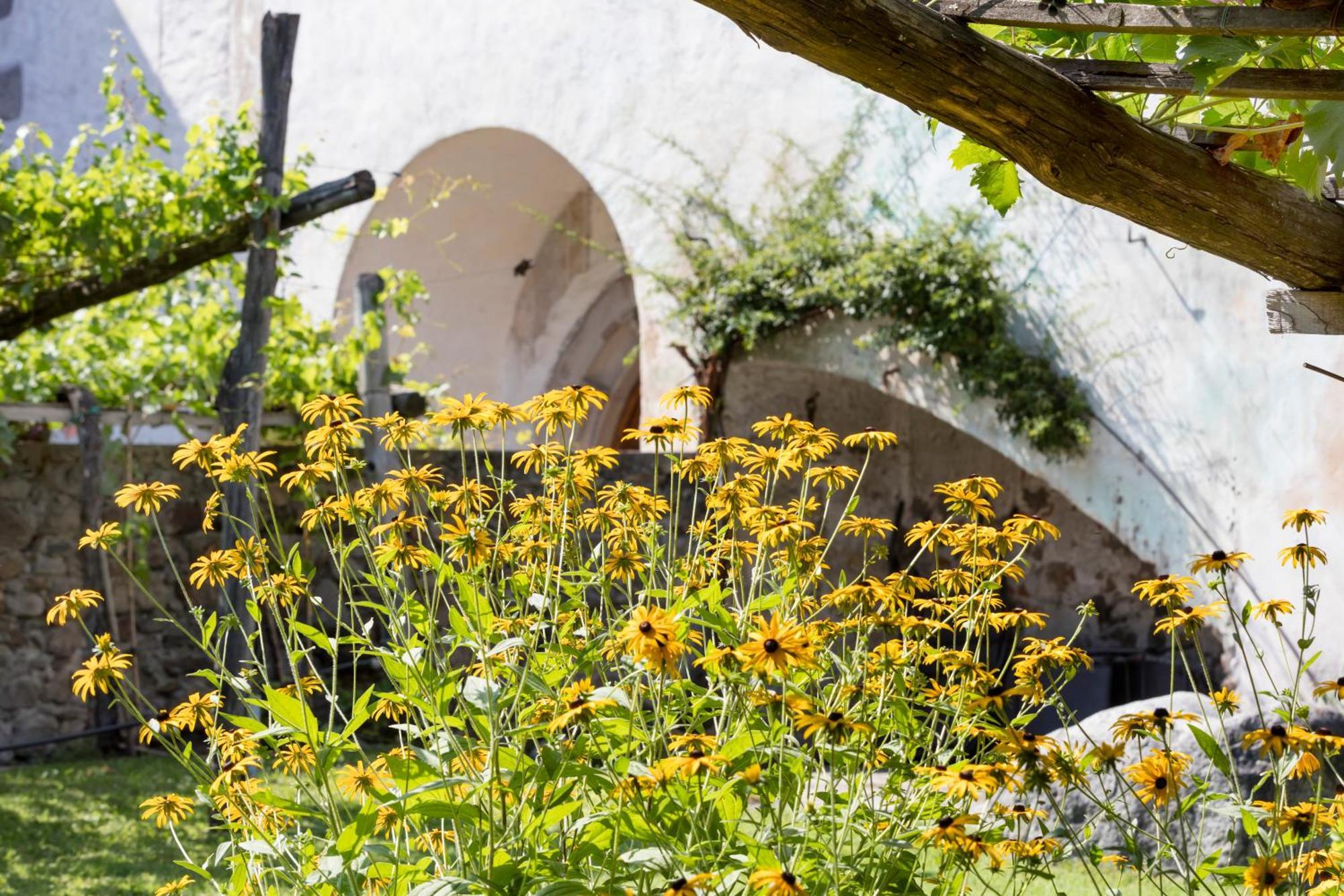 Ferienwohnungen St Hippolyt Mit Hallenbad ลากุนโด ภายนอก รูปภาพ