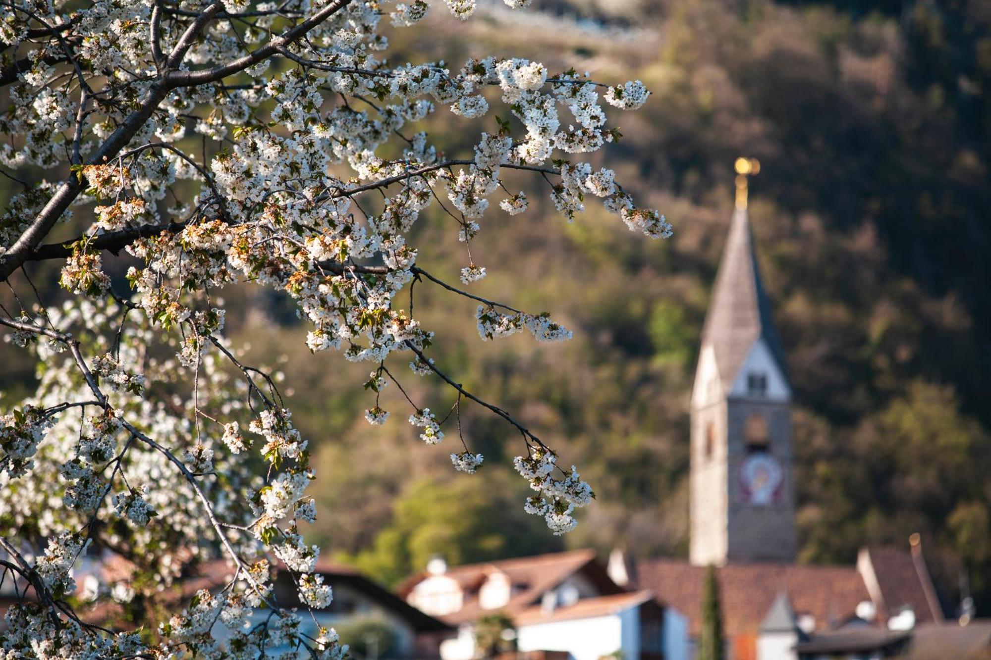 Ferienwohnungen St Hippolyt Mit Hallenbad ลากุนโด ภายนอก รูปภาพ